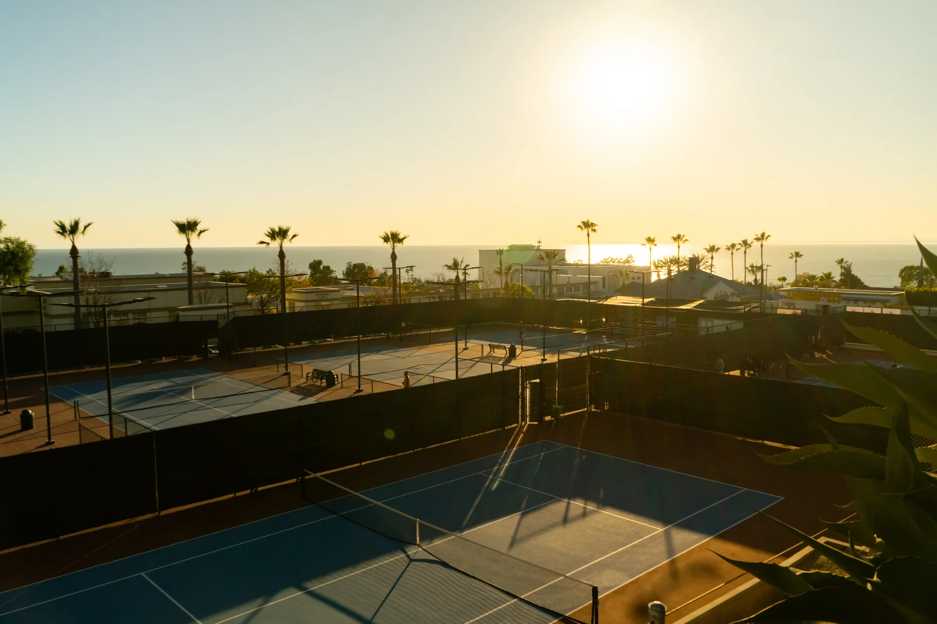 Coastal courts at sunset